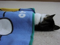 ����������ˁ[��E�E�E