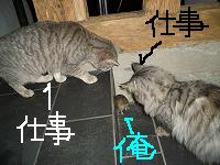 �������߂�