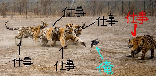 �������߂ۃ��^�[���Y