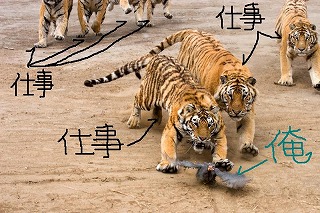 �������߂ۃN���C�}�b�N�X