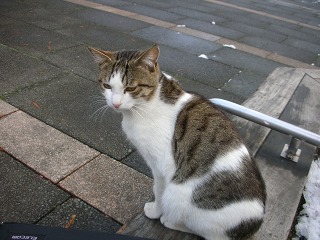 �L�ɓ݊�@�ߋ����O