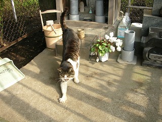 �L�ɓ݊�@�ߋ����O